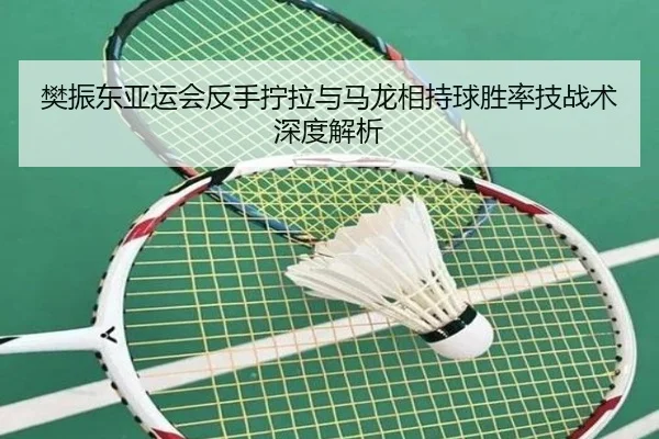 樊振东亚运会反手拧拉与马龙相持球胜率技战术深度解析