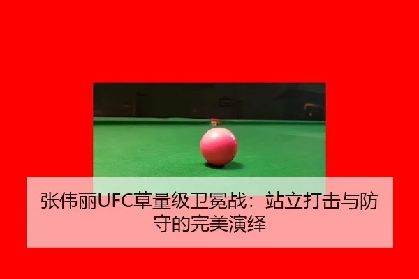 张伟丽UFC草量级卫冕战：站立打击与防守的完美演绎