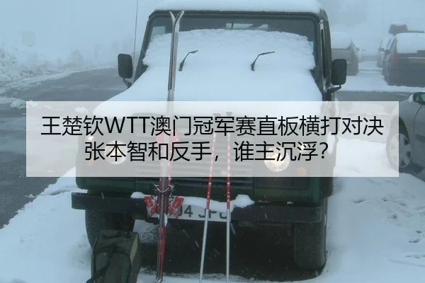 王楚钦WTT澳门冠军赛直板横打对决张本智和反手，谁主沉浮？