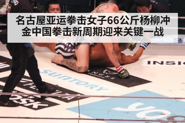 名古屋亚运拳击女子66公斤杨柳冲金中国拳击新周期迎来关键一战